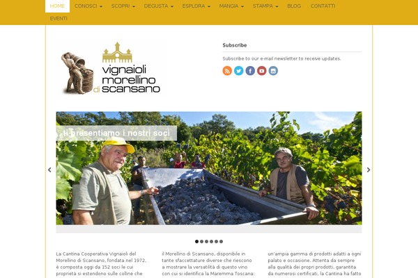 Canvas theme site design template sample