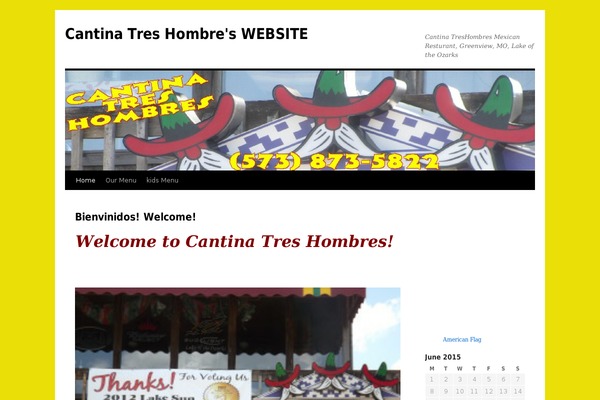 Twenty Ten theme site design template sample