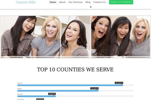 dms-skeleton WordPress theme, websites list used dms-skeleton theme dms-skeleton theme websites examples