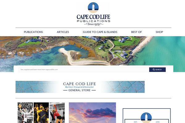 porto-wc theme websites examples