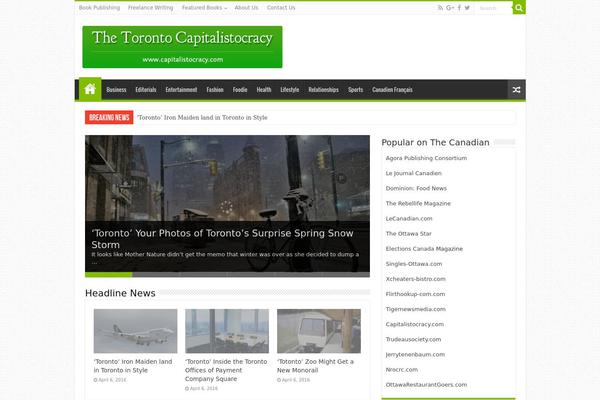 Sahifa theme site design template sample