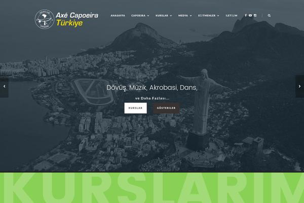 Sahifa theme site design template sample