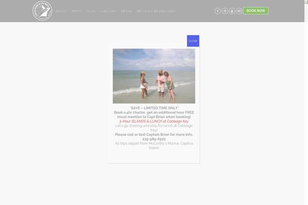 Bridge Child theme site design template sample