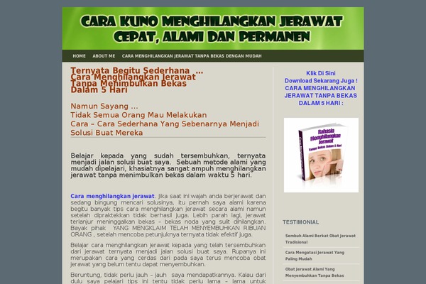 Responsive theme site design template sample