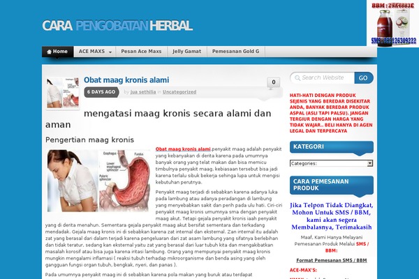 Mystique theme site design template sample