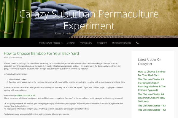 Freelancer theme site design template sample