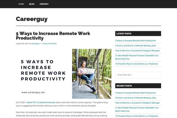 WordPress website example screenshot