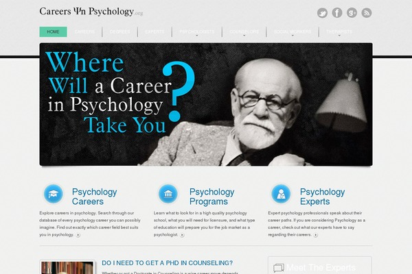 careersinpsychology.org site used Theme48245