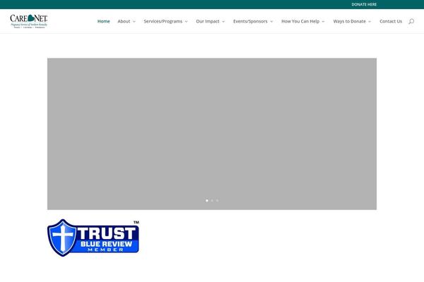 Site using Divi-booster plugin
