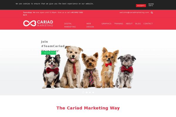 cariadmarketing.com site used Scratch-2023