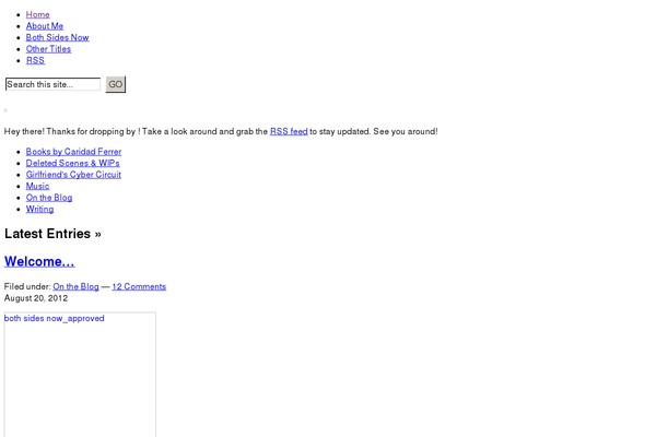 WordPress website example screenshot