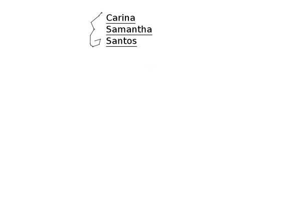 carina-santos.com site used Onigiri
