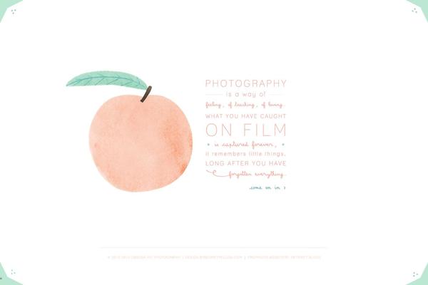 Prophoto4 theme site design template sample