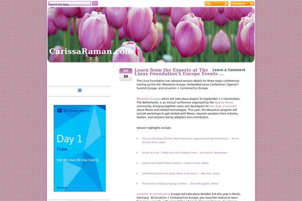 carissaraman.com site used Pink Tulip