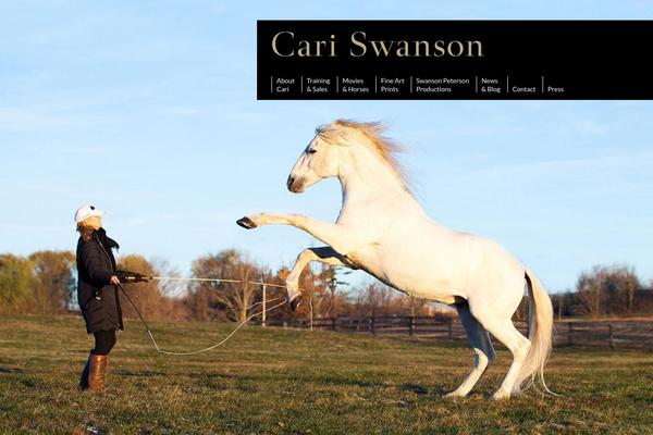 cariswanson.com site used Cari
