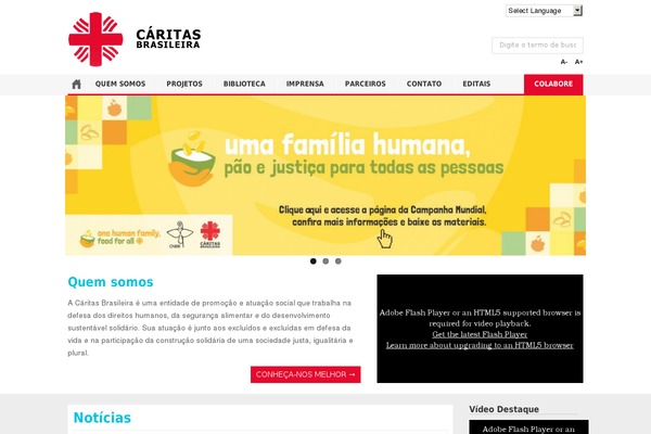 caritas theme websites examples