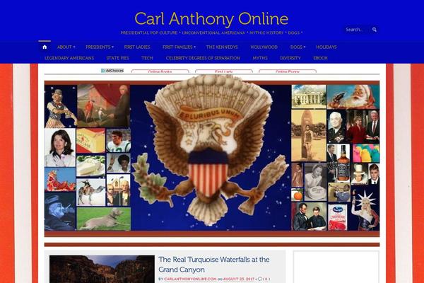 carlanthonyonline.com site used Opti [wordpress Official Theme]