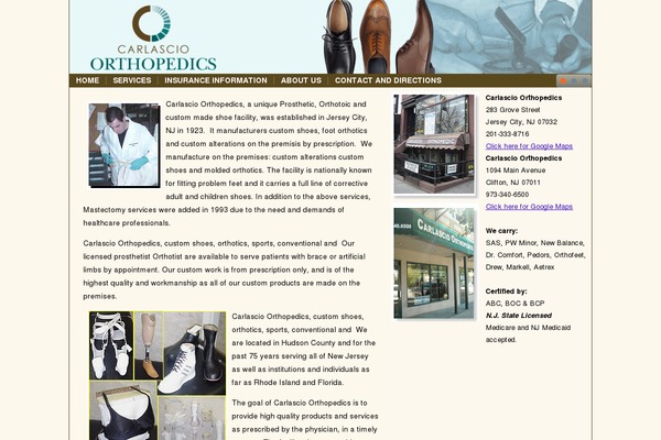 carlascioorthopedics.com site used Carlascioorthopedics