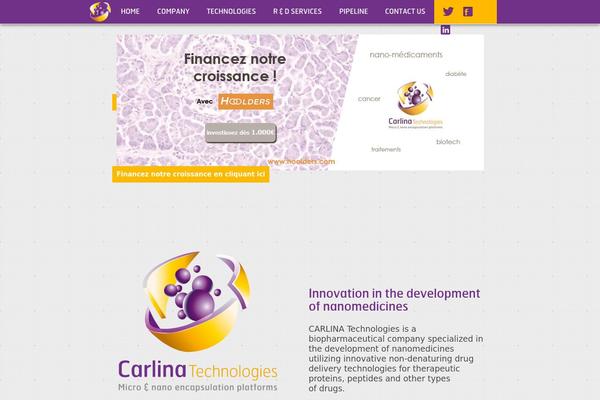 carlinatech.com site used Carlina-theme
