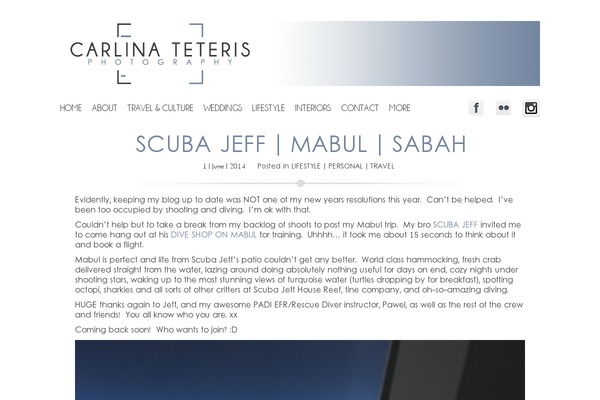 WordPress website example screenshot