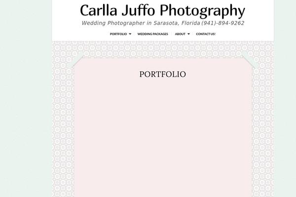 Capture-pro theme site design template sample