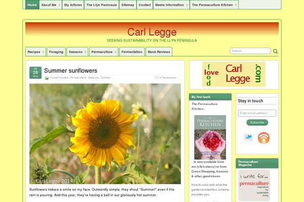 WordPress website example screenshot
