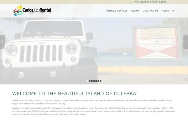 Enfold_child theme site design template sample