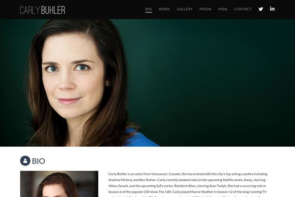 WordPress website example screenshot