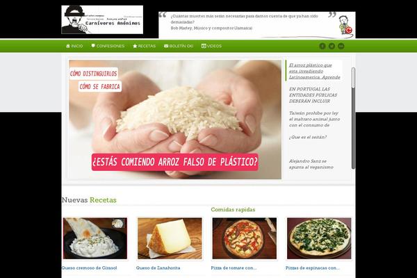 Sahifa theme site design template sample