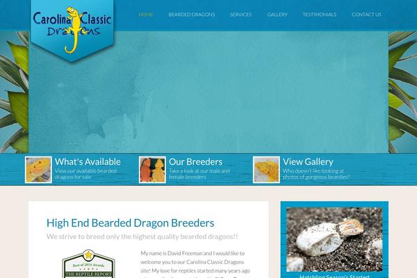 Ccd theme site design template sample