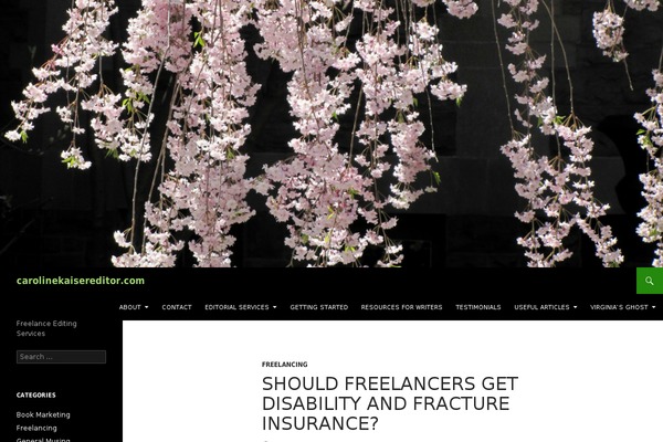 WordPress website example screenshot