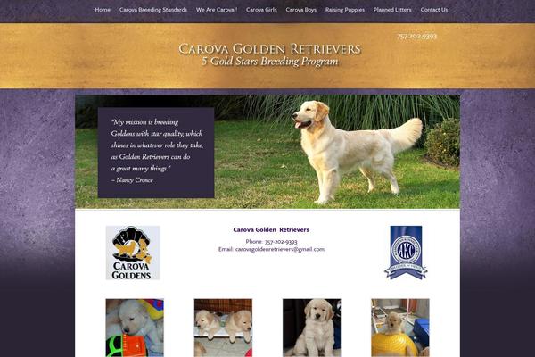 carovagoldenretrievers.com site used Carova