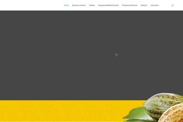 Divi theme site design template sample