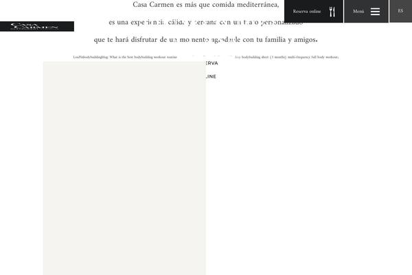 Site using Autoptimize plugin