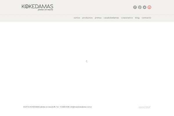 casakokedamas.com.ar site used Kokedamas
