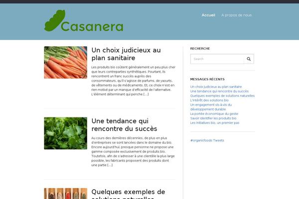 casanera.fr site used Dutchstartingup