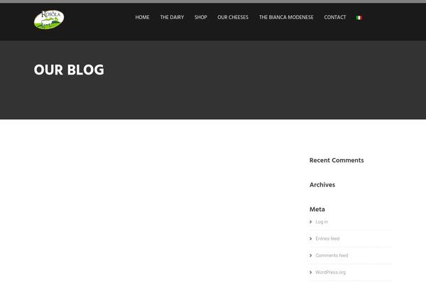 WordPress website example screenshot