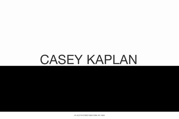 caseykaplangallery.com site used Caseykaplan