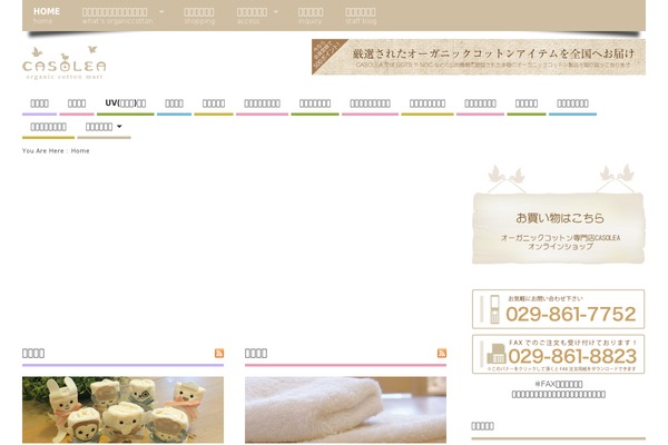 casolea.jp site used Bistro-calme