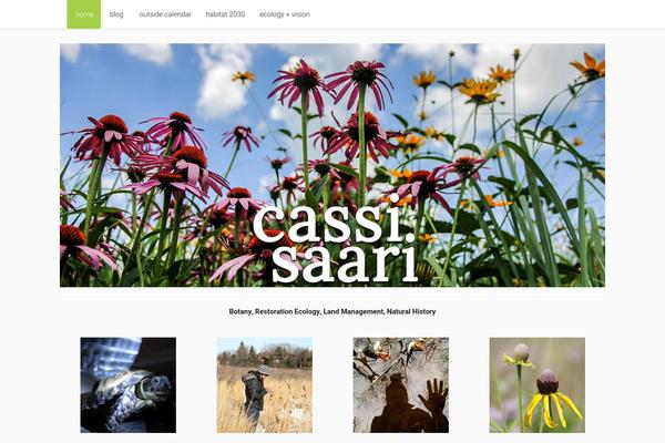 cassisaari.com site used Impulse Press