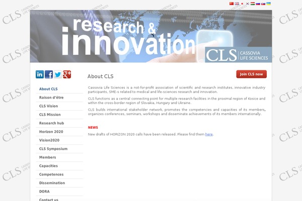 Cls theme site design template sample