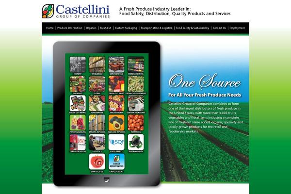 castellinicompany.com site used Castellini