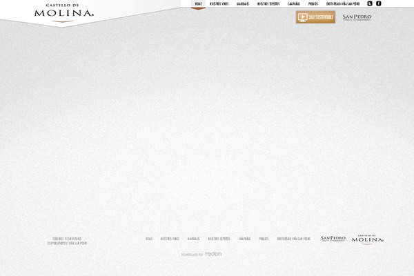 Site using Translatepress-multilingual plugin