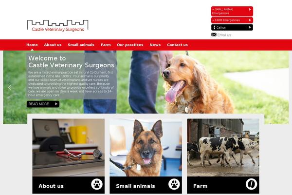 castlevets.net site used Cvs-main