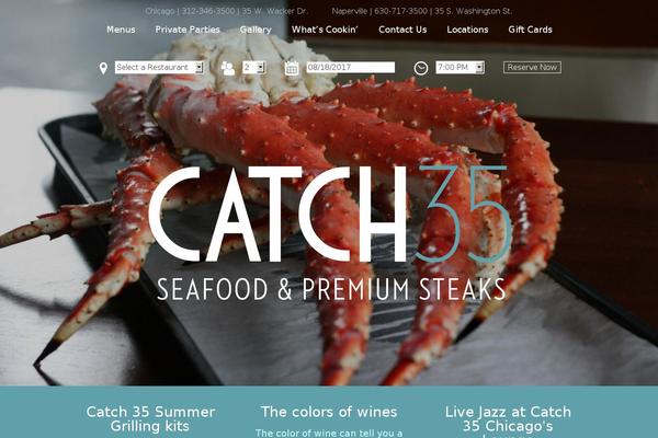 Catch theme site design template sample