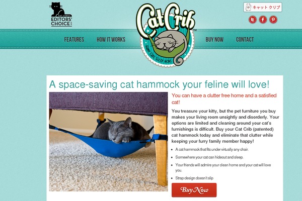 kittycradle theme websites examples