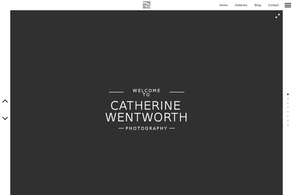 catherinewentworth.com site used Themeforest-border