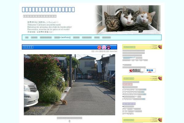 cats-blog.com site used New-cats-summer