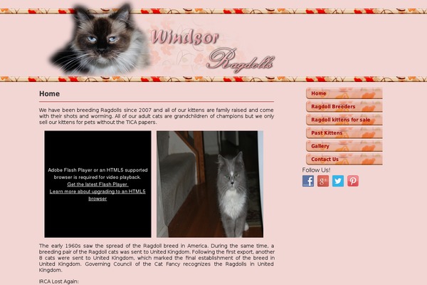 catsinboxes.com site used Catsinboxes