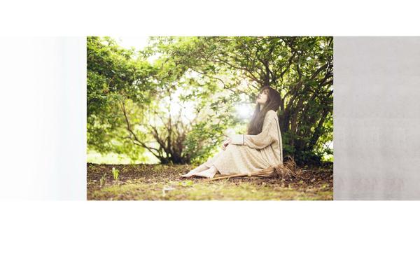 Site using WordPress Download Manager plugin